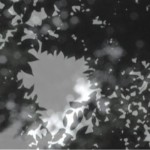 http://hd.email.lightizm.com/files/gimgs/th-76_71_Nostalgia2_v2.jpg